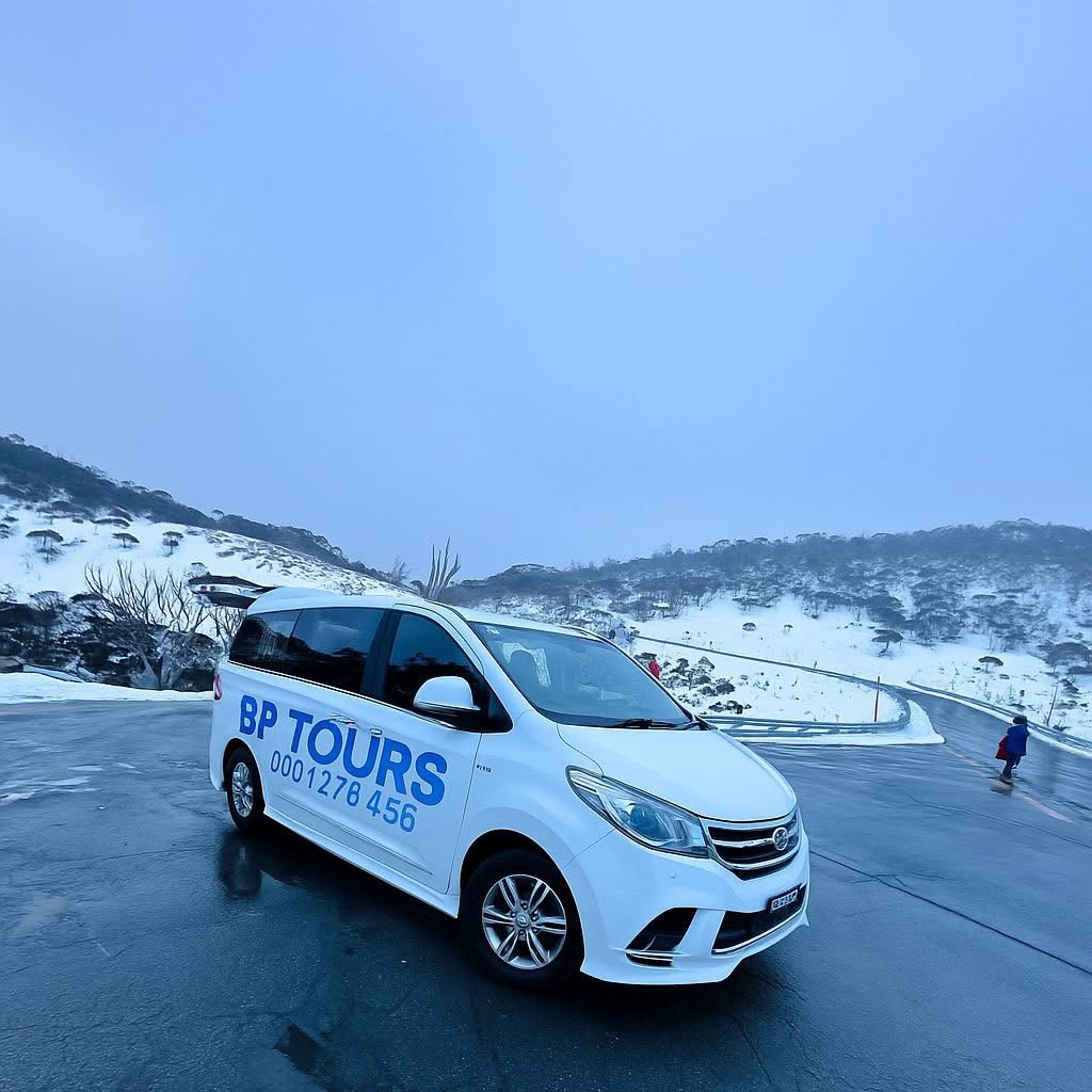 LDV G10 Executive 2019